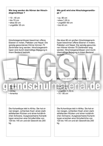 Säugetiere 05.pdf